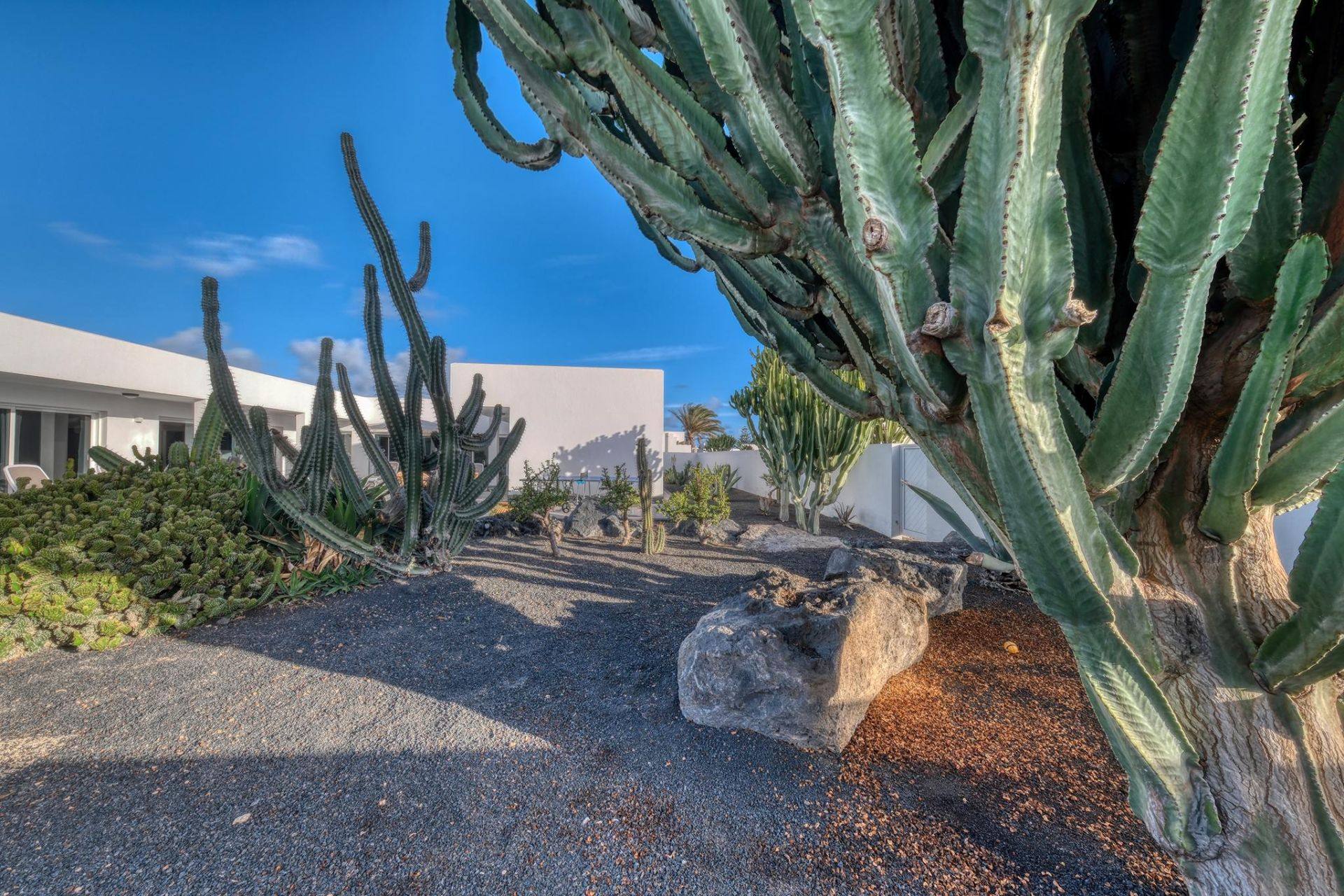 Jardín