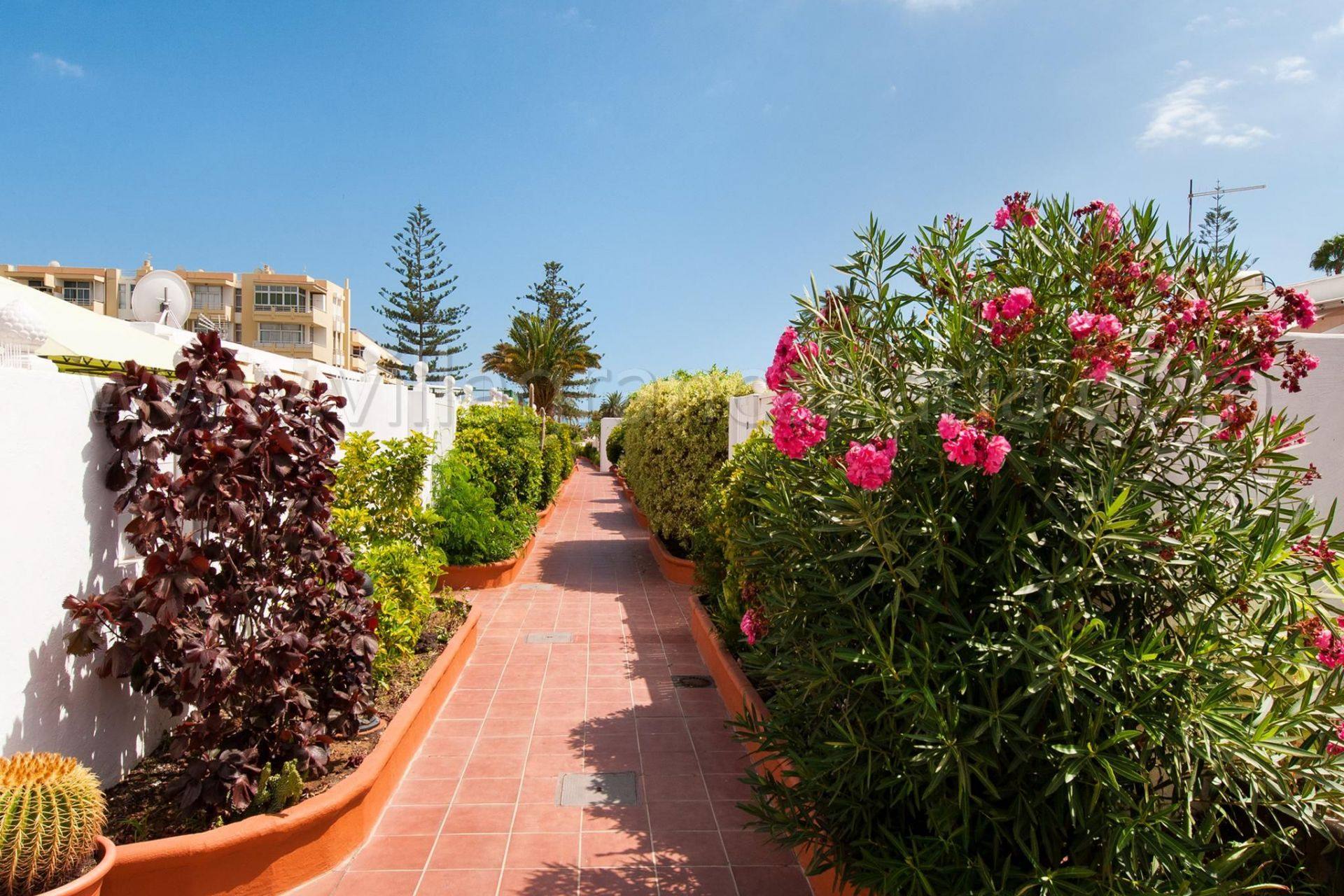 Jardín