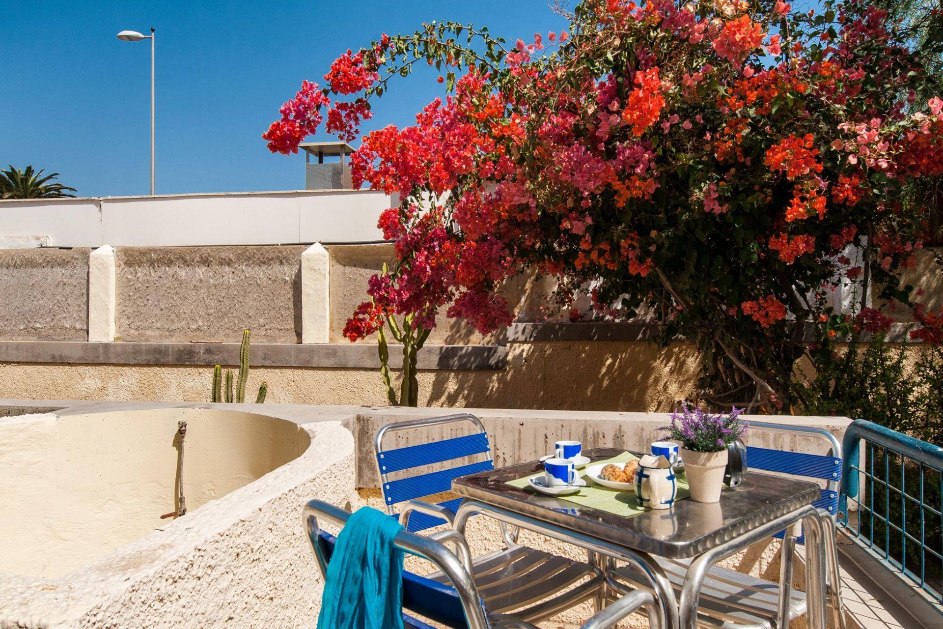 Terraza