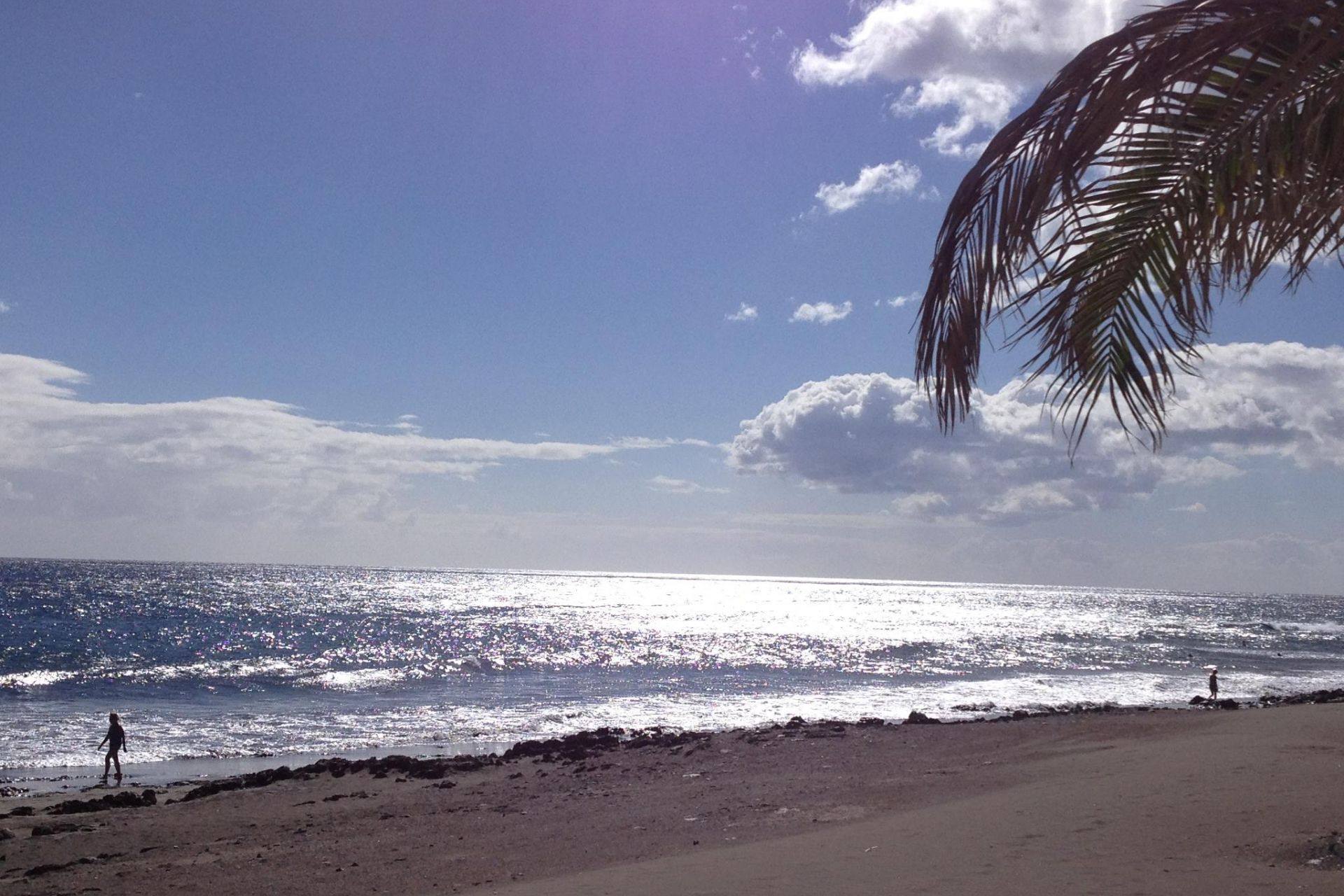 Playa