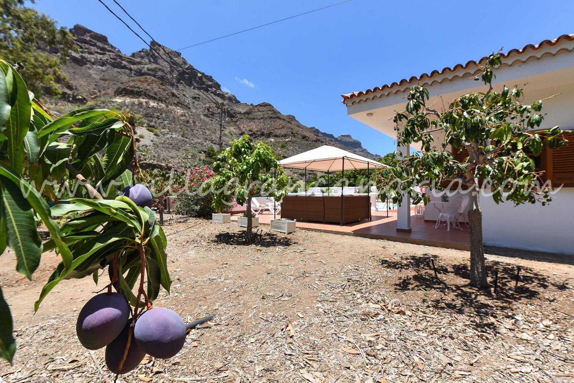 Jardín