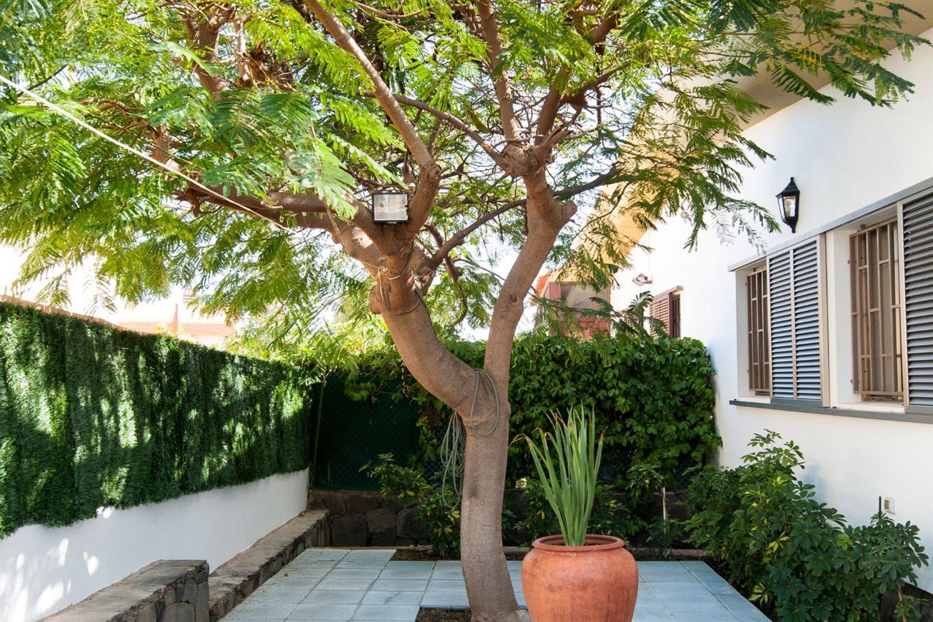 Jardín