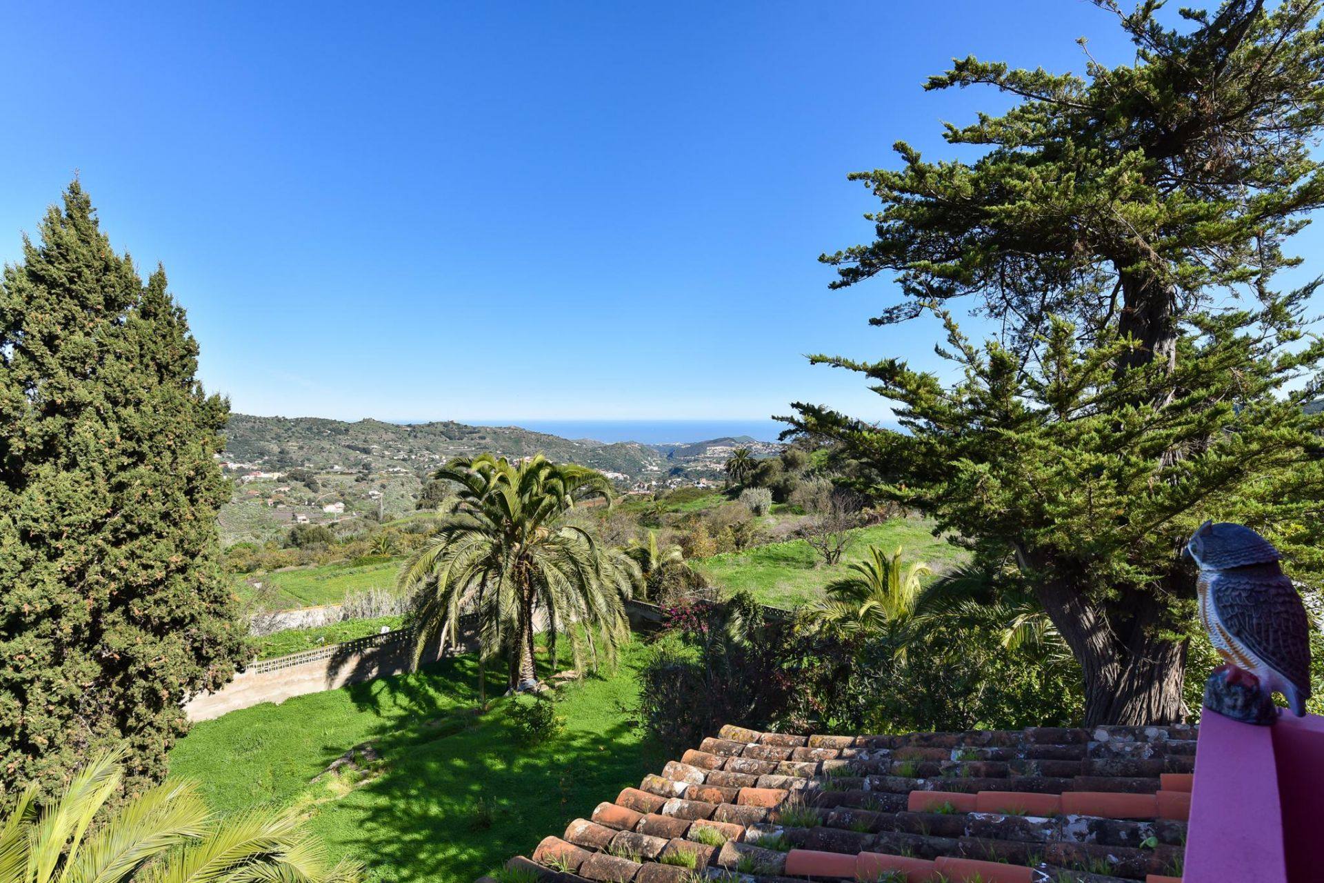 Vistas