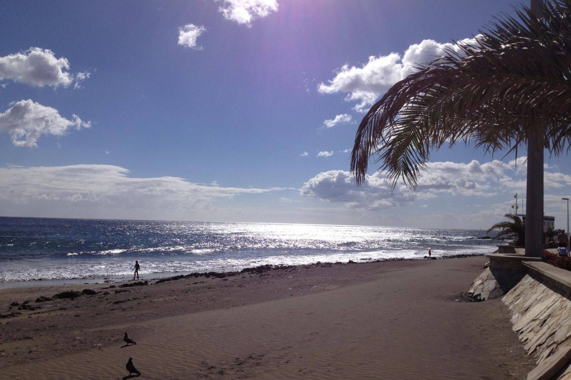 Playa