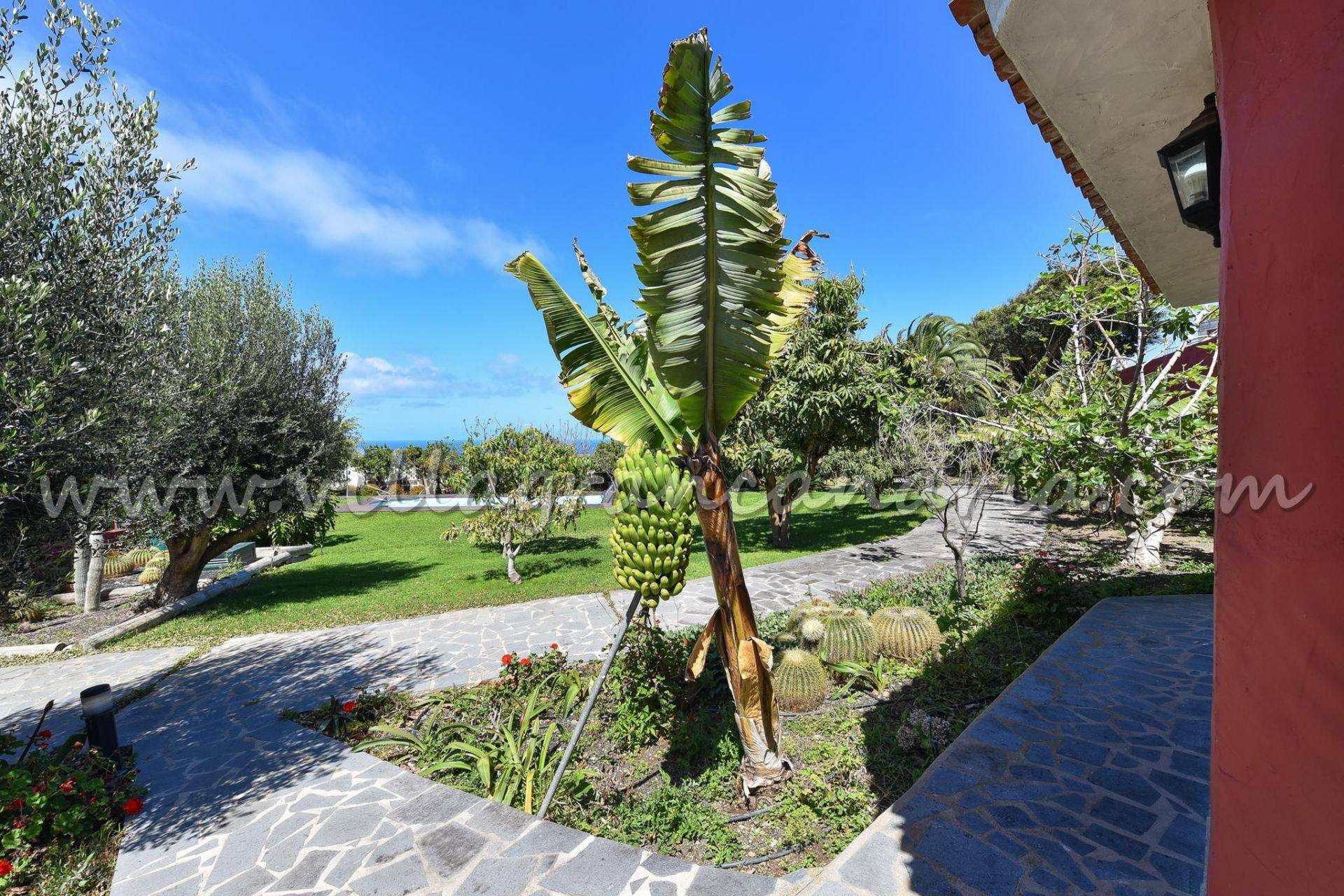 Jardín