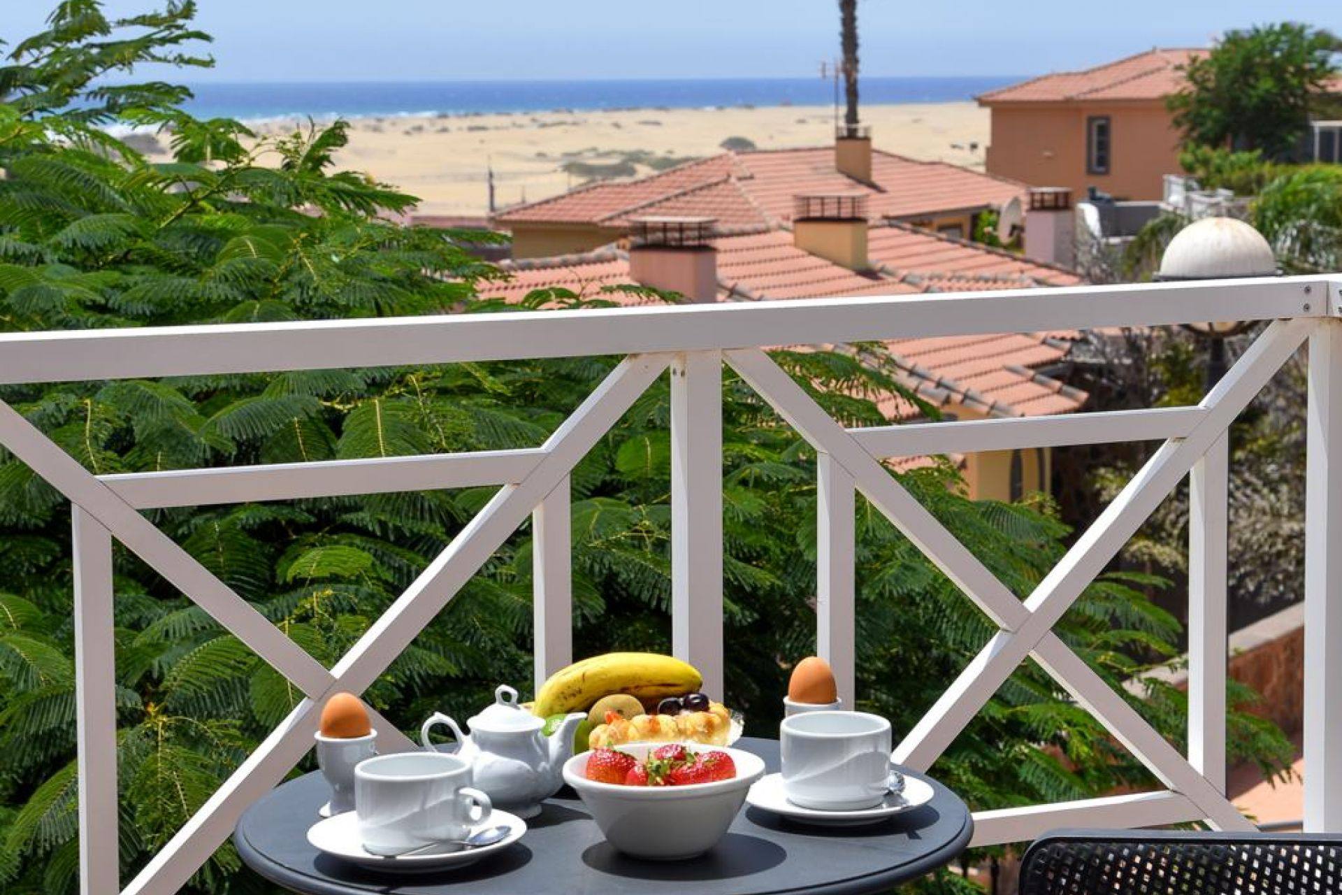 Terraza