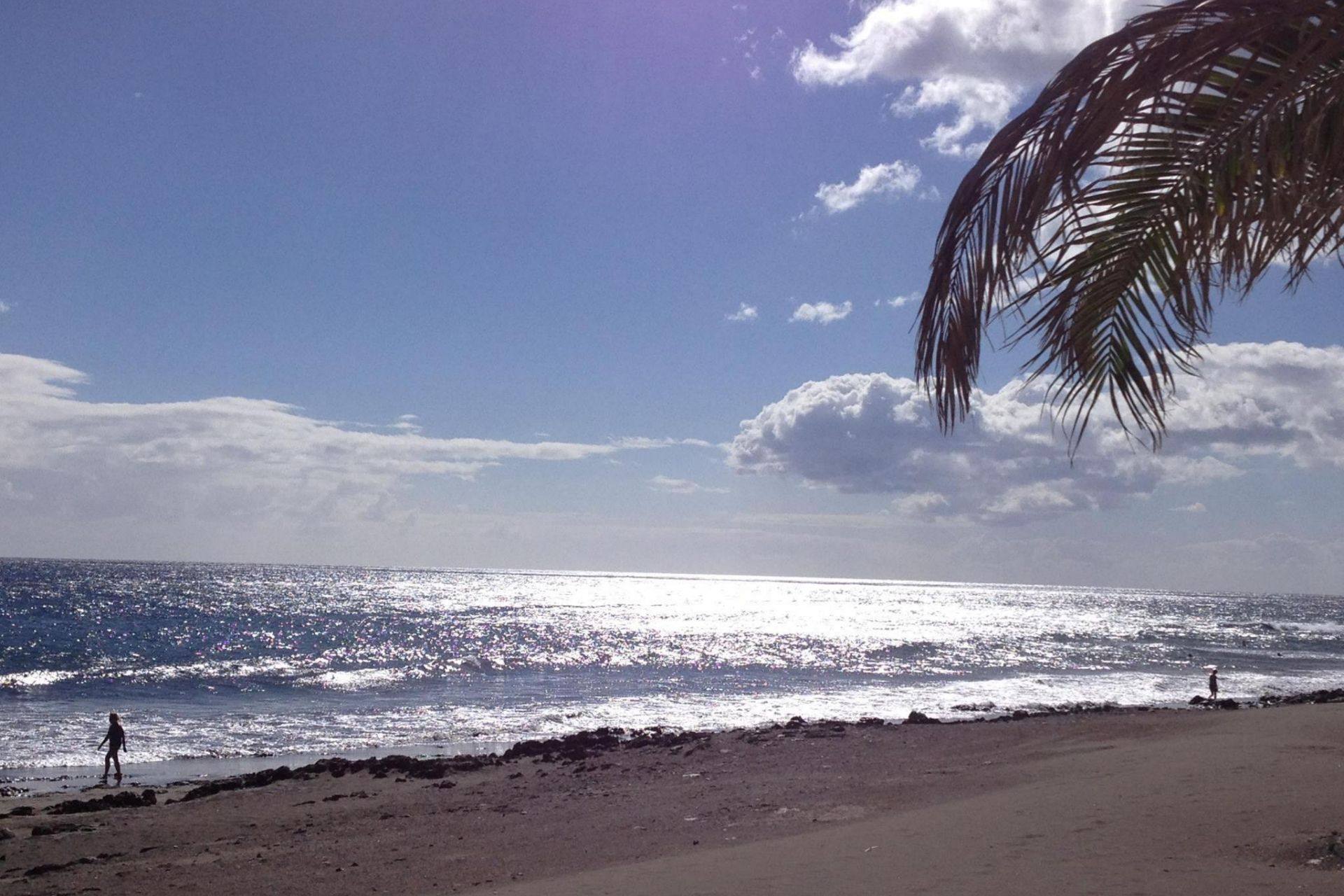 Playa