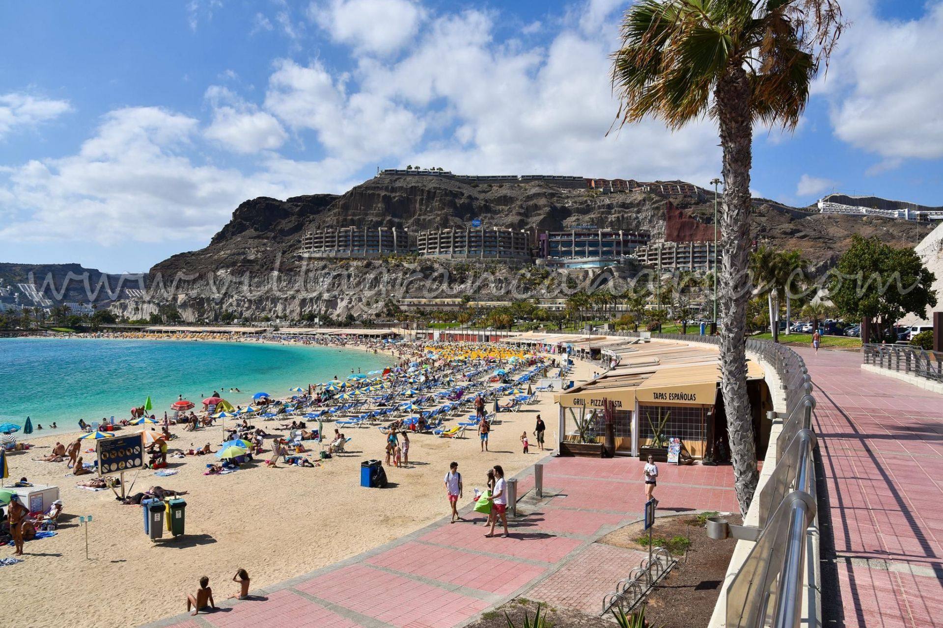 Playa