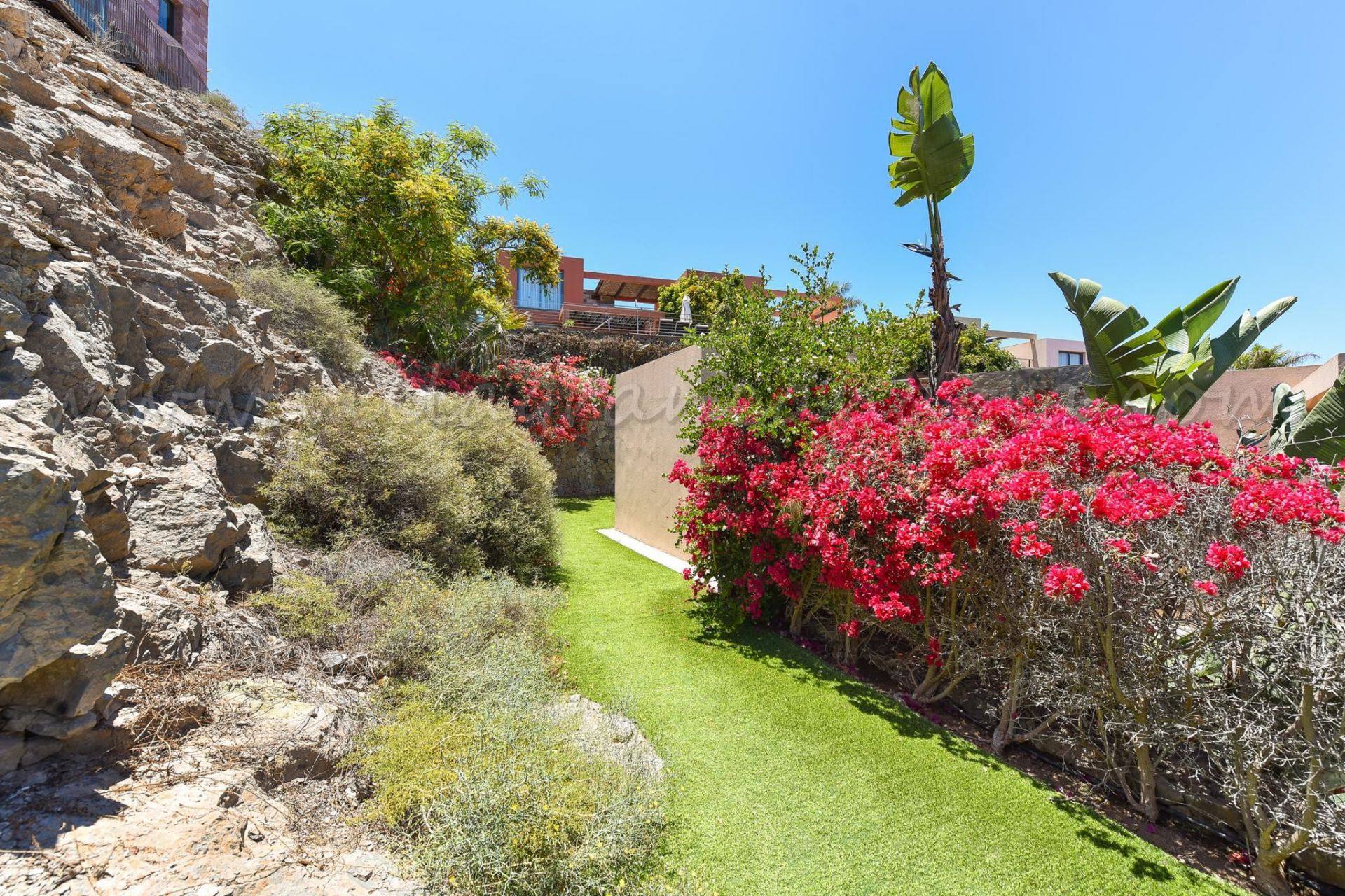 Jardín