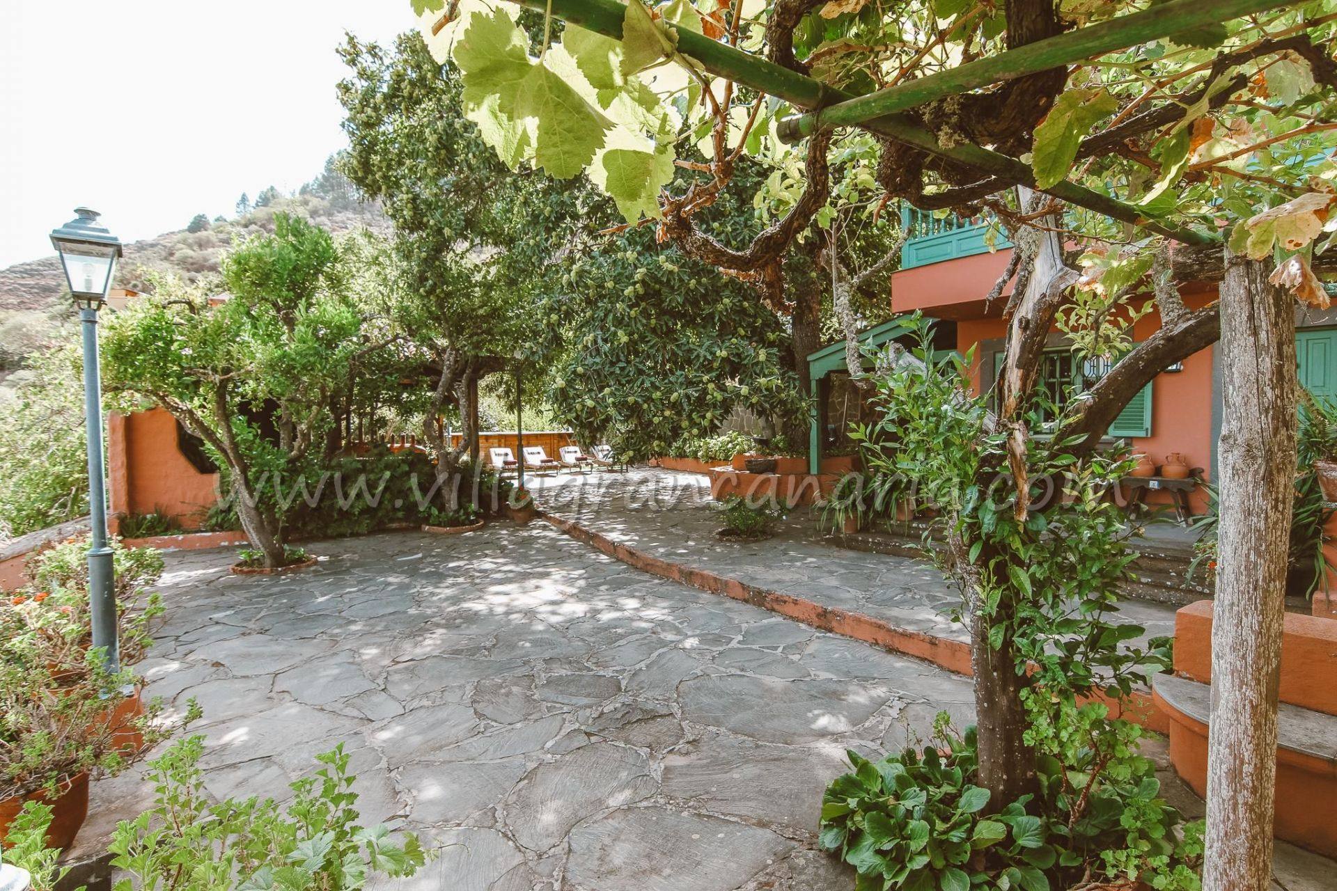 Terraza