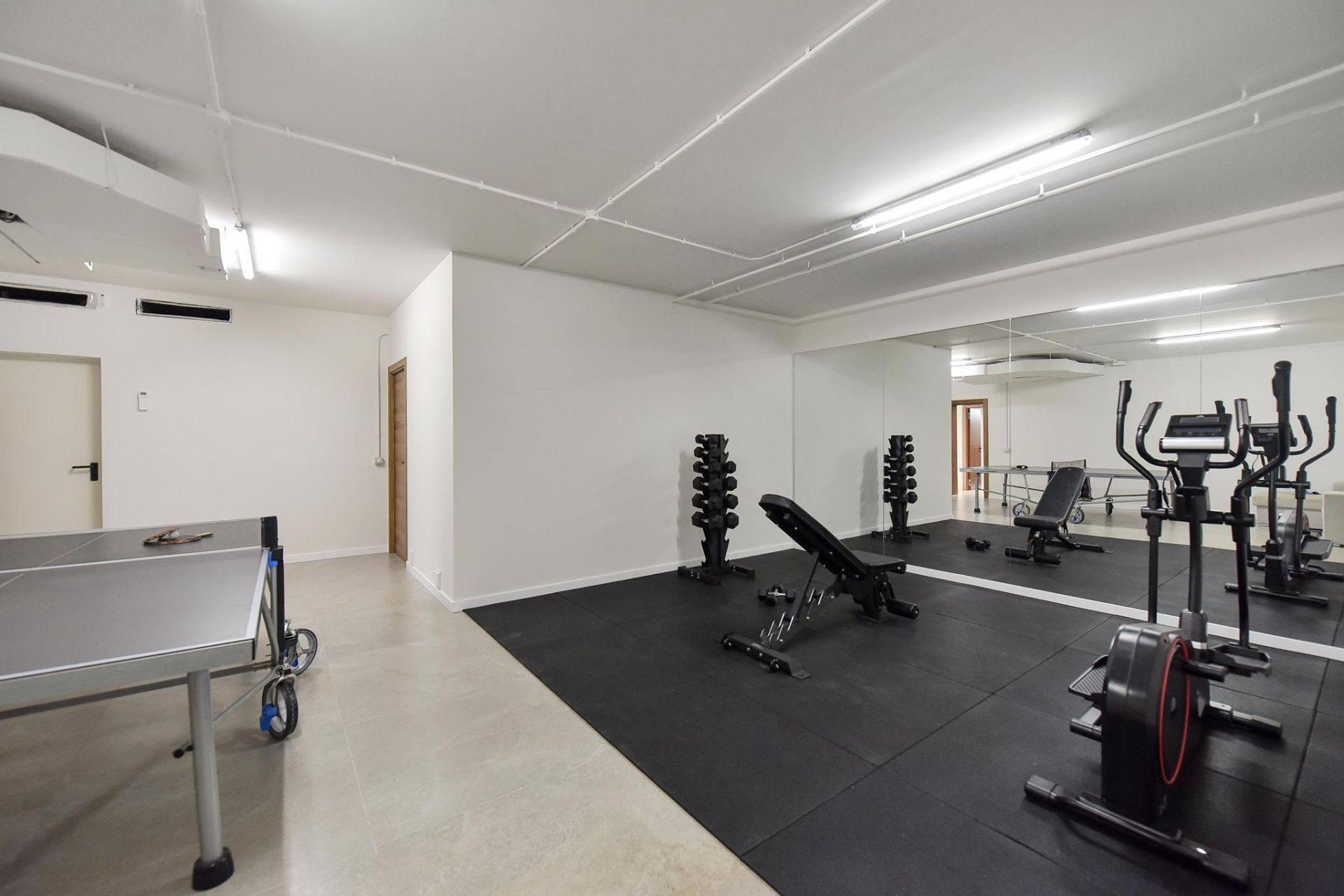 Gimnasio