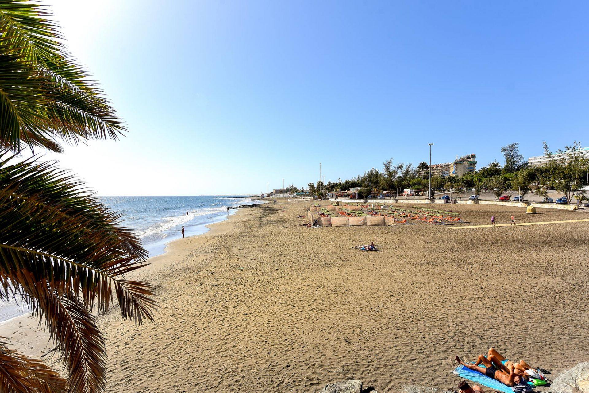 Playa