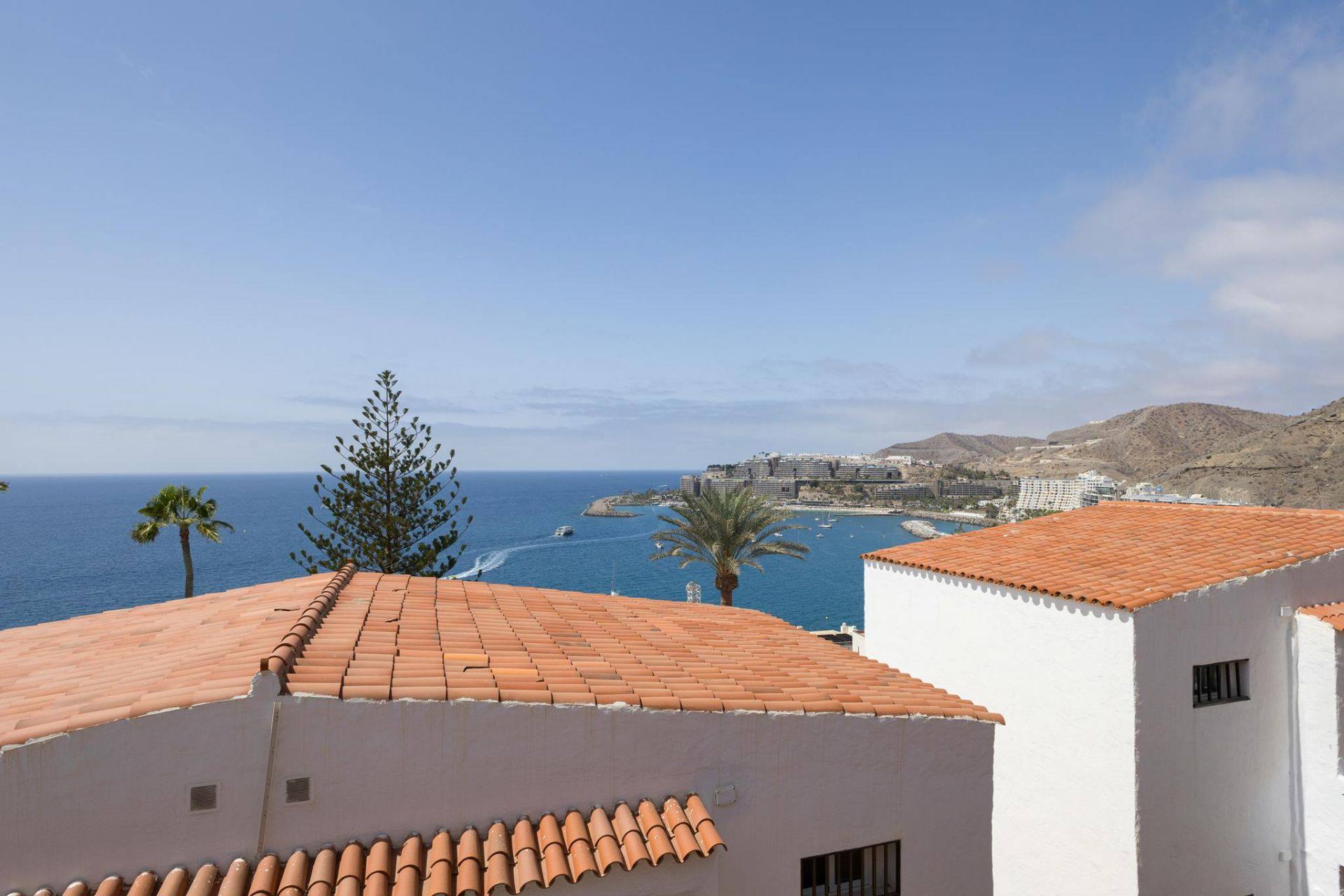 Vistas