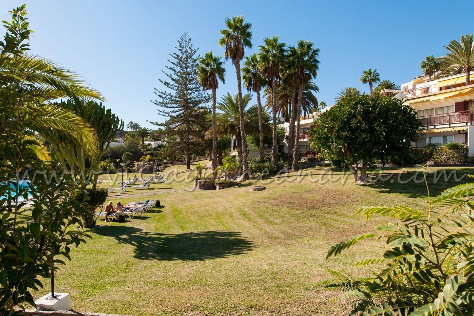Jardín