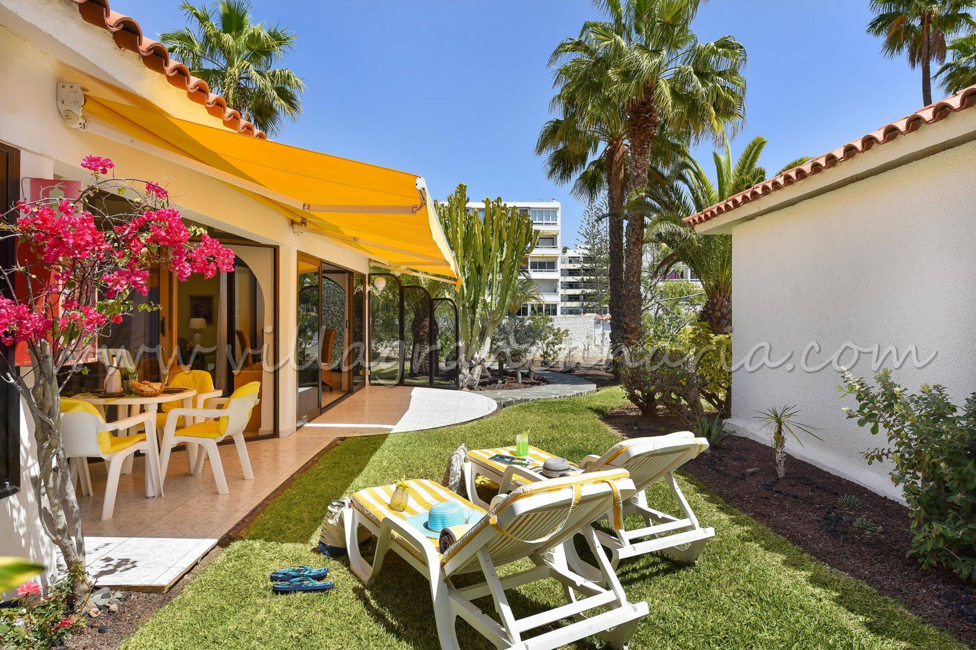 Terraza